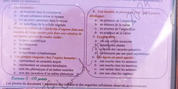 (aux) bonne(s) réponse(s)
u conesponaren 
i- La chromatine :
a- est localisée dans le cytoplasme
4- Une bactérie de phénotype |Val Amp'| peut se
b- est une substance dense et opaque développer :
c- et un corps sphérique dans le noyau a- en présence de l'ampicilline
d est spécifique de la cellule végétale b- en absence de la valine
2- Placer des cellules de l'épiderme d'oignon dans une c- en absence de l’ampicilline
solation de rouge neutre puis dans une solution de d- en présence de la valine
saccharose permet de rendre visible : 5- La paramecie :
a- la paroi squelettique a- est une cellule eucaryote
b- les ribosomes bpossède des plastes
c- le noyau contient des vacuoles pulsatiles
d- la membrane cytoplasmique d est entourée par une paroi squelettique
3- Les groupes sanguins chez l'espèce humaine : 6- Une lignée est aussi appelée :
a- représentent un caractère acquis a- une souche chez les animaux
be représentent un caractère héréditaire b- une souche chez les bactéries
c- sont des phénotypes d'un même caractère c- une variété chez les animaux
d- sont des caractères d'un même phénotype d- une race chez les végétaux
Exercice 2:09 points
Les photos du document 1 montrent des cellules et des organites cellulaires observés au microscope.