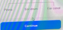 Pinna Ear drum Ear canal
Continue