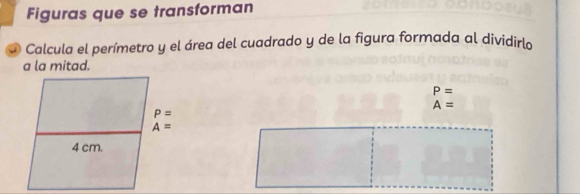 Figuras que se transforman
O Calcula el perímetro y el área del cuadrado y de la figura formada al dividirlo
a la mitad.
P=
A=