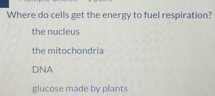 Where do cells get the energy to fuel respiration?
the nucleus
the mitochondria
DNA
glucose made by plants