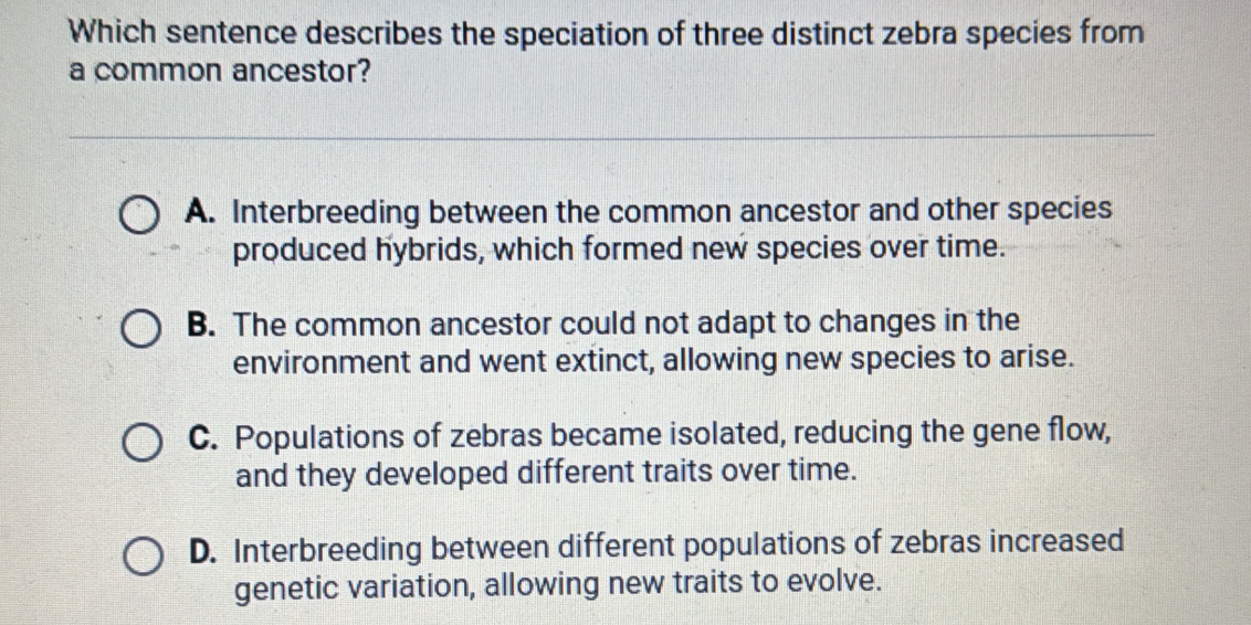 Which sentence describes the speciation of three distinct zebra species from
a common ancestor?
A. Interbreeding between the common ancestor and other species
produced hybrids, which formed new species over time.
B. The common ancestor could not adapt to changes in the
environment and went extinct, allowing new species to arise.
C. Populations of zebras became isolated, reducing the gene flow,
and they developed different traits over time.
D. Interbreeding between different populations of zebras increased
genetic variation, allowing new traits to evolve.