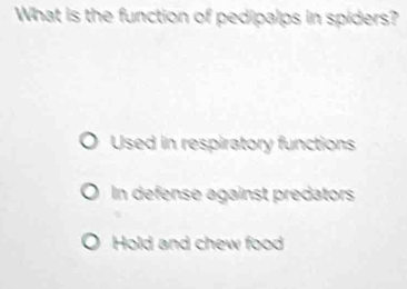 What is the function of pedipalps in spiders?
Used in respiratory functions
In defense against predators
Hold and chew food