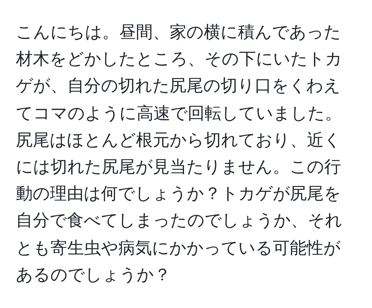 こんにちは。昼間、家の横に積んであった材木をどかしたところ、その下にいたトカゲが、自分の切れた尻尾の切り口をくわえてコマのように高速で回転していました。尻尾はほとんど根元から切れており、近くには切れた尻尾が見当たりません。この行動の理由は何でしょうか？トカゲが尻尾を自分で食べてしまったのでしょうか、それとも寄生虫や病気にかかっている可能性があるのでしょうか？