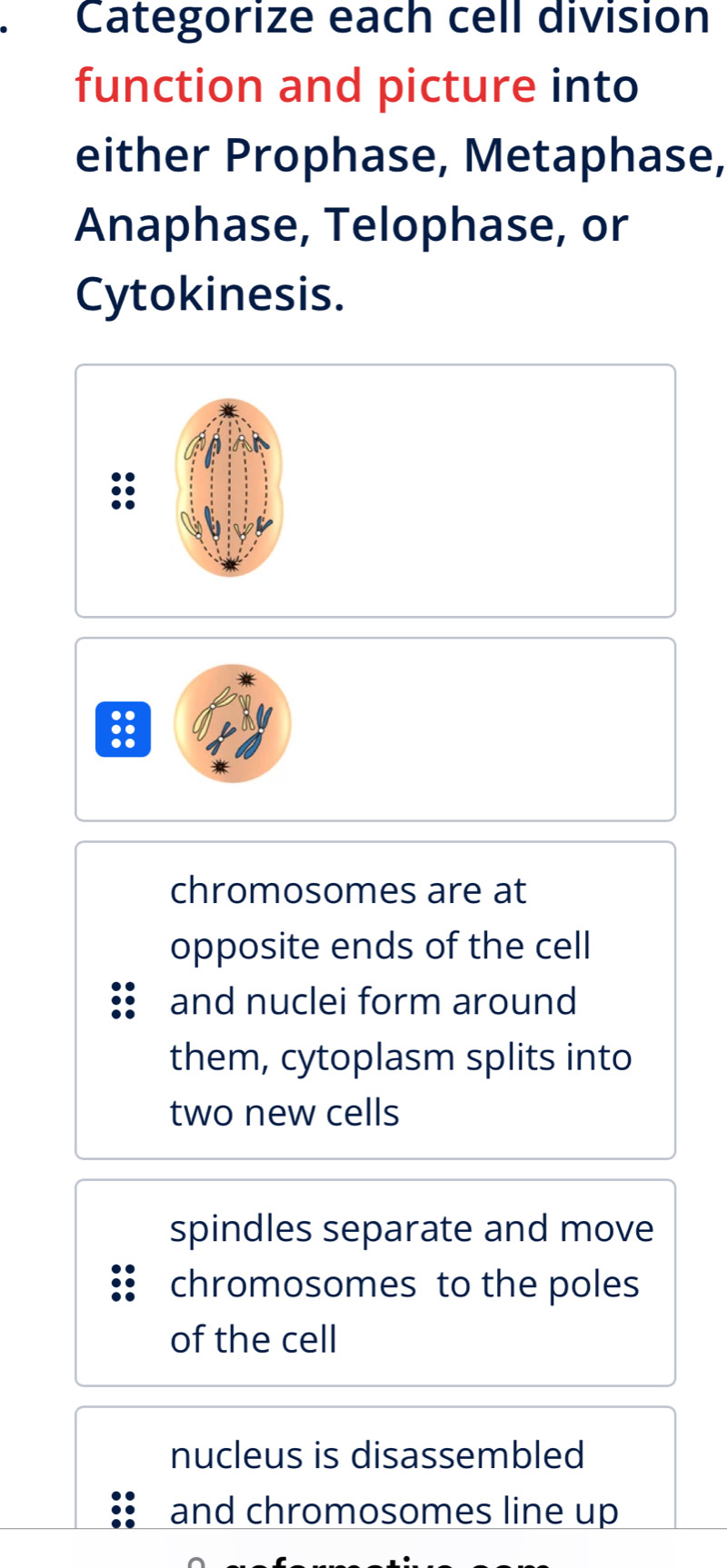 Categorize each cell division
function and picture into
either Prophase, Metaphase,
Anaphase, Telophase, or
Cytokinesis.
::
chromosomes are at
opposite ends of the cell
and nuclei form around
them, cytoplasm splits into
two new cells
spindles separate and move
chromosomes to the poles
of the cell
nucleus is disassembled
and chromosomes line up