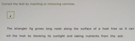 Correct the text by inserting or removing commas. 
1 
The strangler fig grows long roots along the surface of a host tree so it can 
kill the host by blocking its sunlight and taking nutrients from the soil .