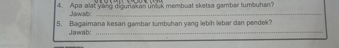 Apa alat yang digunakan untuk membuat sketsa gambar tumbuhan? 
Jawab:_ 
5. Bagaimana kesan gambar tumbuhan yang lebih lebar dan pendek? 
Jawab:_