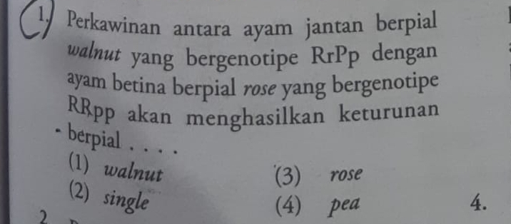 Perkawinan antara ayam jantan berpial
walnut yang bergenotipe RrPp dengan
ayam betina berpial røse yang bergenotipe
RRpp akan menghasilkan keturunan
berpial . . . .
(1) walnut
(3) rose
(2) single 4.
)
(4) pea