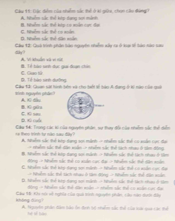 Đặc điểm của nhiêm sắc thể ở ti giữa, chan cầu đúng?
A. Nhiễm sắc thể kép dạng sọi mành
B. Nhiễm sắc thể kép co xoân cực đại
C. Nhiễm sắc thể co xoắn
D. Nhiễm sắc thể dân xoắn
Cầu 12: Quả trính phân bào nguyên nhễm xây ra ở toại tế bào nào cau
day?
A. Vì khuẩn và vi sút
B. Tế bào sinh dục giai đoạn chín.
C. Giao tử
D. Tể bào sinh dưỡng
Cầu 12: Quan sát hình bản và cho biết tế báo A đang ở tí nào của quả
tình nguyên phần?
A. Ki đầu.
B. Ki giữra
C. Ki sau.
D. Ki cuối
Cầu 14: Trong các ki của nguyên phân, sư thay đổi của nhiễm sắc thể diễn
re theo winh tự não sau diy?
A. Nhiễm sắc thể kép dang sọi mảnh > nhiễm sắc thể co xuấn cực đại
> nhiễm sắc thể dân xuấn > nhiễm sắc thể tách nhau ở tâm động.
B. Nhiễm sắc thể kếp dạng sọi mảnh > Nhiễm sắc thể tách nhau ở tâm
động > Nhiễm sắc thể co xuấn cực đại > Nhiễm sắc thể dân xoấn.
C. Nhiễm sắc thể kép dạng sọi mãnh > Nhiễm sắc thể co xuấn cực đai
> Nhiễm sắc thể tách nhau ở tâm động - Nhiễm sắc thể dân xoấn.
D. Nhiễm sắc thể kép dang sọi mảnh → Nhiễm sắc thể tách nhau ở tâm
động > Nhiễm sắc thể dân xoấn > nhiễm sắc thể co xoắn cực đại
Cầu 15: Khi nó về nghĩa của quả tính nguyên phân, cáu nào dưới đây
không dìng?
A. Nguyên phân đâm bảo ổn định bộ nhễm sắc thể của loài qua các thể
hệ sễ bào