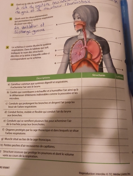 Quel est le rôle du système respil à 
3 Quels sont les deux phénomènes 
de jouer son rôle ? qui permettent au système respirato 
_ 
_ 
_ 
_ 
4 Le schéma ci-contre illustre le système 
índiquez le nam des structures respiratoire. Dans le tableau qui suit, 
correspondent sur le schéma. décrites et la lettre à laquelle celles-ci 
d 
e) 
f) 
l 
g) 
h) P 
) S 
va 
RS VI 
Reproduction interdite © TC Média Livres Inc.