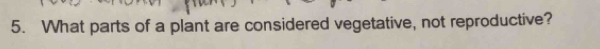What parts of a plant are considered vegetative, not reproductive?