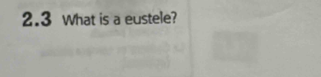 2.3 What is a eustele?