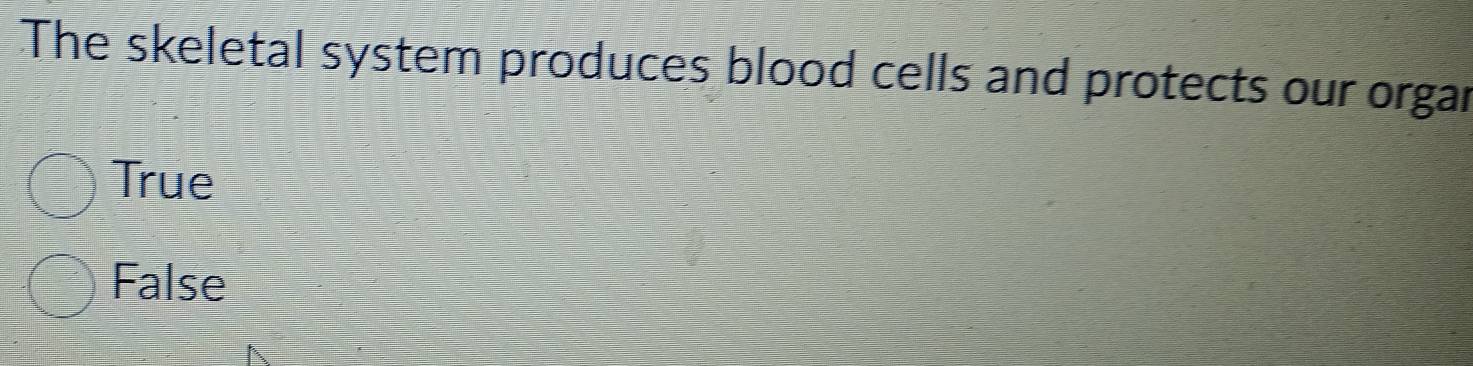 The skeletal system produces blood cells and protects our orgar
True
False