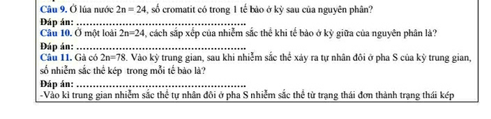 Ở lúa nước 2n=24 , số cromatit có trong 1 tế bảo ở kỳ sau của nguyên phân? 
Đáp án:_ 
Câu 10. Ở một loài 2n=24 , cách sắp xếp của nhiễm sắc thể khi tế bào ở kỳ giữa của nguyên phân là? 
Đáp án:_ 
Câu 11. Gà có 2n=78 3. Vào kỳ trung gian, sau khi nhiễm sắc thể xảy ra tự nhân đôi ở pha S của kỳ trung gian, 
số nhiễm sắc thể kép trong mỗi tế bào là? 
Đáp án:_ 
Vào kì trung gian nhiễm sắc thể tự nhân đôi ở pha S nhiễm sắc thể từ trạng thái đơn thành trạng thái kép