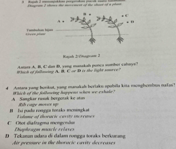 Rajah 2 menunjukkan pergerakan pucuk suatu tumbukan
Diagram 2 shows the movement of the shoot of a plant.
Rajah 2/Diagram 2
Antara A. B, C dan D, yang manakah punca sumber cahaya?
Which of following A, B, C or D is the light source?
4 Antara yang berikut, yang manakah berlaku apabila kita menghembus nafas?
Which of the following happens when we exhale?
A Sangkar rusuk bergerak ke atas
Rib cage moves up
B Isi padu rongga toraks meningkat
Volume of thoracic cavity increases
C Otot diafragma mengendur
Diaphragm muscle rélaxes
D Tekanan udara di đdalam rongga toraks berkurang
Air pressure in the thoracic cavity decreases