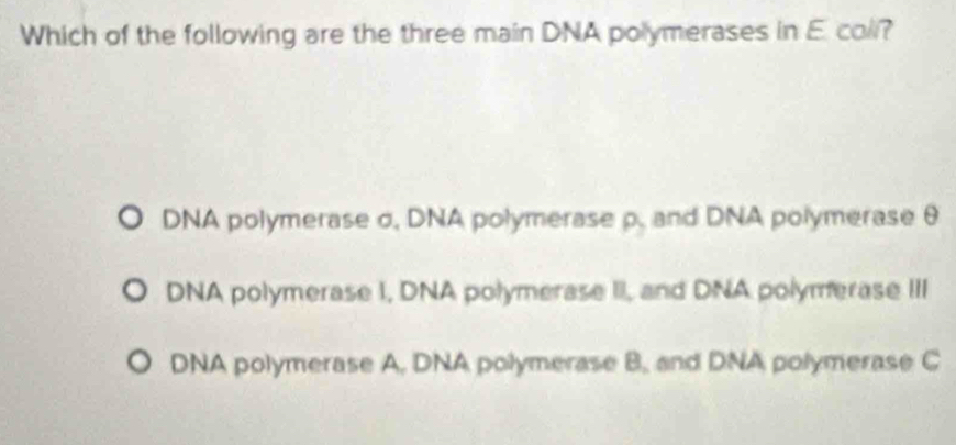 Which of the following are the three main DNA polymerases in E. coll?
DNA polymerase σ, DNA polymerase p, and DNA polymerase θ
DNA polymerase I, DNA polymerase II, and DNA polymerase III
DNA polymerase A, DNA polymerase B, and DNA polymerase C