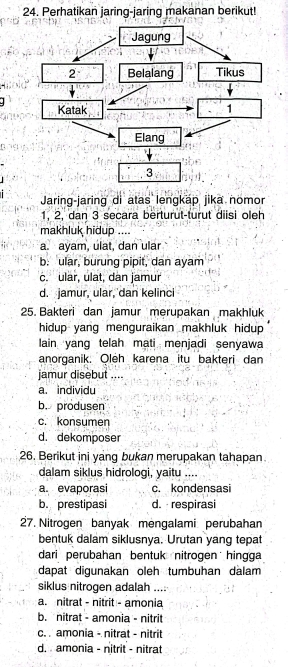 Perhatikan jaring-jaring makanan berikut!
Jagung
2 Belalang Tikus
Katak 1
Elang
3
Jaring-jaring di atas lengkap jika nomor
1. 2. dan 3 secara berturut-turut diisi oleh
makhluk hidup ....
a. ayam, ulat, dan ular
b. ular, burung pipit, dan ayam
c. ular, ulat, dan jamur
d. jamur, ular, dan kelinci
25. Bakteri dan jamur merupakan makhluk
hidup yang menguraikan makhluk hidup 
lain yang telah mati menjadi senyawa
anorganik. Oleh karena itu bakteri dan
jamur disebut ....
a. individu
b. produsen
c. konsumen
d. dekomposer
26. Berikut ini yang bukan merupakan tahapan
dalam siklus hidrologi, yaitu ....
a. evaporasi c. kondensasi
b. prestipasi d. respirasi
27. Nitrogen banyak mengalami perubahan
bentuk dalam siklusnya. Urutan yang tepat
dari perubahan bentuk nitrogen hingga
dapat digunakan oleh tumbuhan dalam
siklus nitrogen adalah ....
a. nitrat - nitrit - amonia
b. nitrat - amonia - nitrit
c. . amonia - nitrat - nitrit
d. amonia - nitrit - nitrat