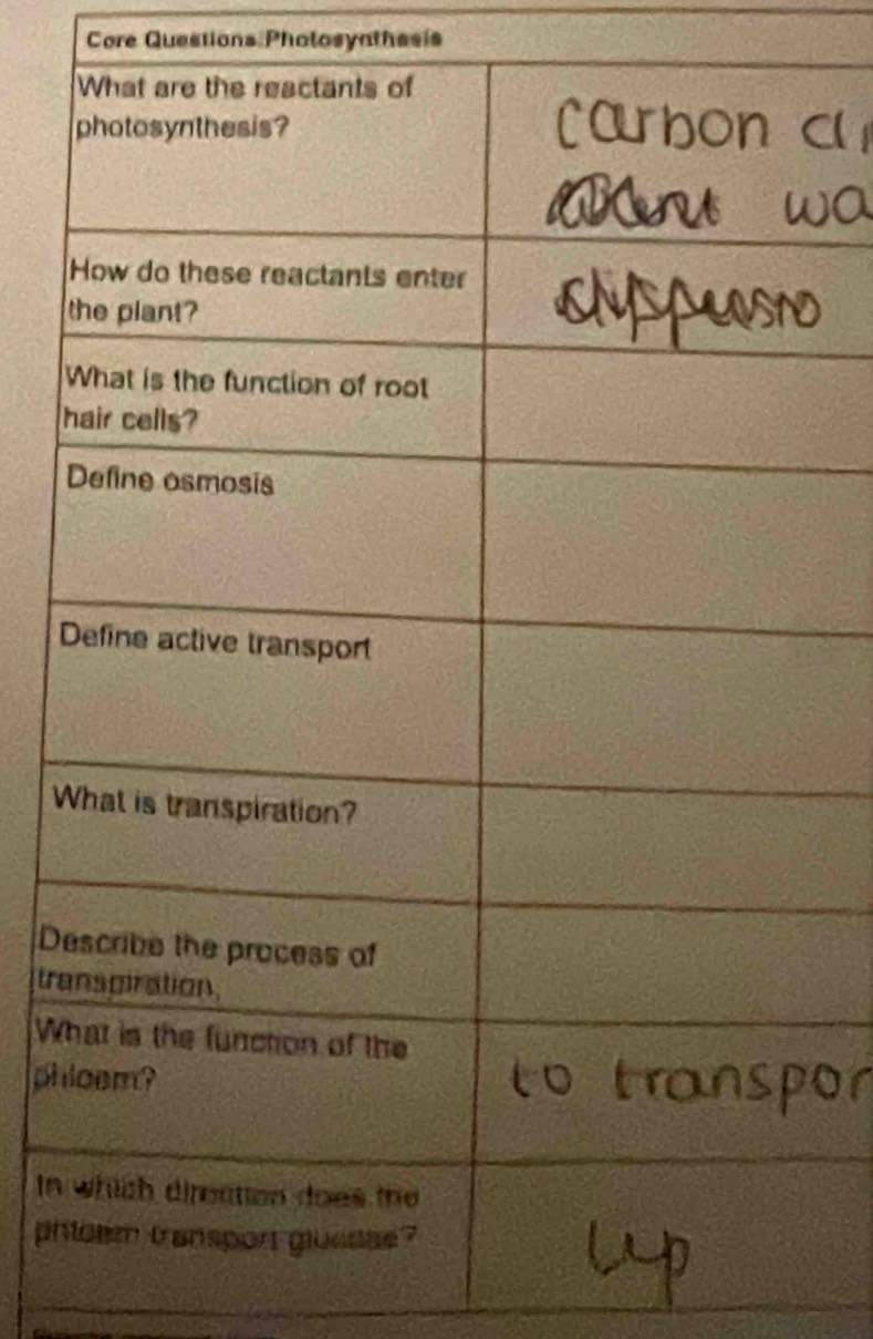 Core Questions Pholosynthesis 
W 
D 
tra 
W 
ph 
In 
ph