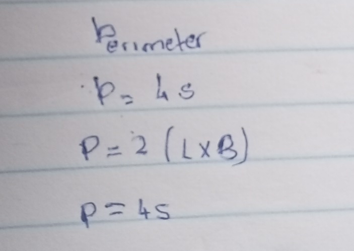 recmeter
p=4s
P=2(L* B)
p=45