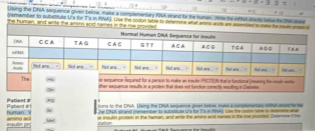 Using the DNA sequence given below, make a complementary RNA strand for the human. Write the mRNA directly selow the DNA srand 
(remember to substitute U's for T's in RNA). Use the codon table to determine what amino acids are assembled to make the i 
the human, and write the amino acid names in the row prov 
Patient # Arg 1 
Patient #1 tions to the DNA. Using the DNA sequence given below, make a complementary mRNA sttand for be 
human. V Ile 
the DNA strand (remember to substitute U's for Ts in RNA)). Use the cadon table to determine what 
amino ací Met 
e insulin protein in the human, and write the amino acid names in the row provided. Determine if the 
insulin prc station. 
Secuence for insulln