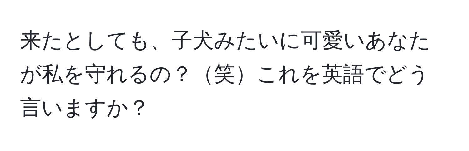 来たとしても、子犬みたいに可愛いあなたが私を守れるの？笑これを英語でどう言いますか？