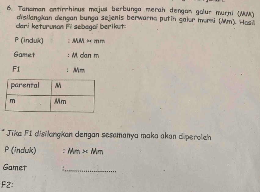 Tanaman antirrhinus majus berbunga merah dengan galur murni (MM) 
disilangkan dengan bunga sejenis berwarna putih galur murni (Mm). Hasil 
dari keturunan Fi sebagai berikut:
P (induk) : MM < <tex>mm
Gamet : M dan m
F1 : Mm
* Jika F1 disilangkan dengan sesamanya maka akan diperoleh
P (induk) M m * Mm
Gamet 
_: 
F2: