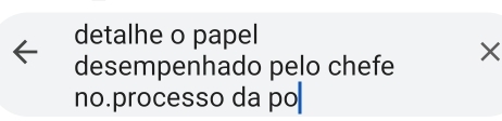 detalhe o papel 
desempenhado pelo chefe × 
no.processo da po