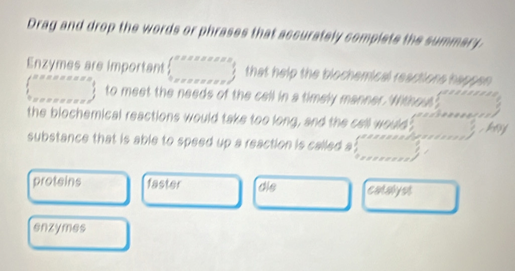 Drag and drop the words or phrases that accurately complete the summary.
Enzymes are important beginarrayl 0.5222222  1/2 ,x,x,x,y,endarray. that help the blochemical reactions happen
 ·s  to meet the needs of the cell in a timely manner. Without x_1+x_2= □ /□  
the blochemical reactions would take too long, and the cell would san 
substance that is able to speed up a reaction is called a □ 
protsins faster dis
caayA
enzymes