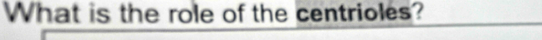 What is the role of the centrioles?