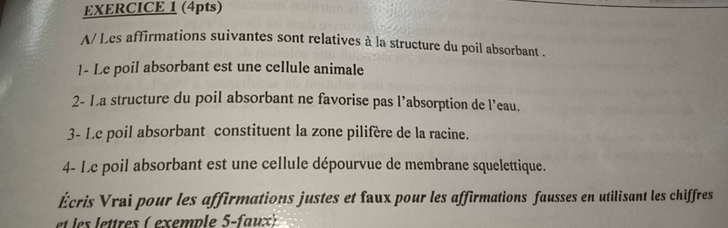 A/ Les affirmations suivantes sont relatives à la structure du poil absorbant . 
1- Le poil absorbant est une cellule animale 
2- La structure du poil absorbant ne favorise pas l’absorption de l’eau. 
3- Le poil absorbant constituent la zone pilifère de la racine. 
4- Le poil absorbant est une cellule dépourvue de membrane squelettique. 
Écris Vrai pour les affirmations justes et faux pour les affirmations fausses en utilisant les chiffres 
et le lettres ( exemple 5-faux)