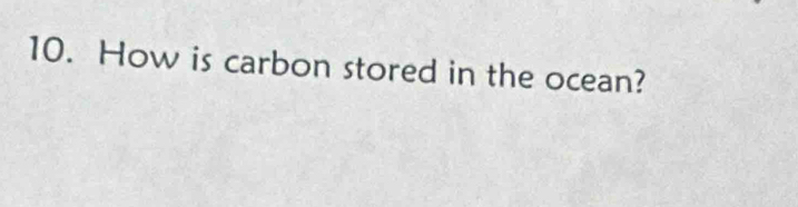 How is carbon stored in the ocean?