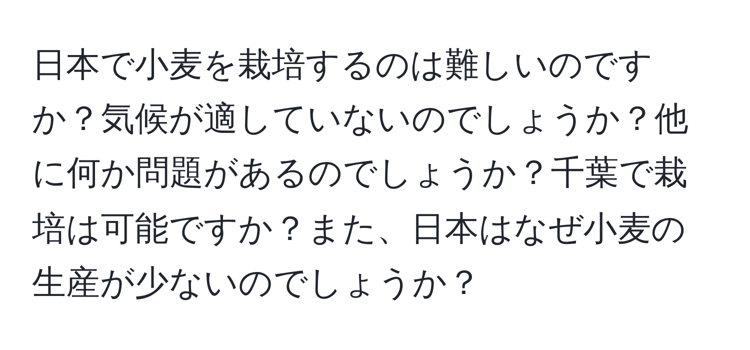 日本で小麦を栽培するのは難しいのですか？気候が適していないのでしょうか？他に何か問題があるのでしょうか？千葉で栽培は可能ですか？また、日本はなぜ小麦の生産が少ないのでしょうか？