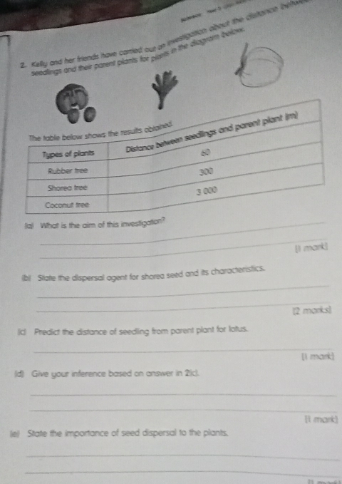 Kelly and her friends have caried out an investigation about the distrance bieften 
seedlings and their parent plants for playts in the diagram belan 
(a) What is the aim of this investigation 
_ 
[I mark] 
_ 
(b) State the dispersal agent for shorea seed and its characteristics. 
_ 
[2 morks] 
(c) Predict the distance of seedling from parent plant for lotus. 
_ 
[I mark] 
(d) Give your inference based on answer in 2(c). 
_ 
_ 
[1 mark] 
(ie) State the importance of seed dispersal to the plants. 
_ 
_ 
25