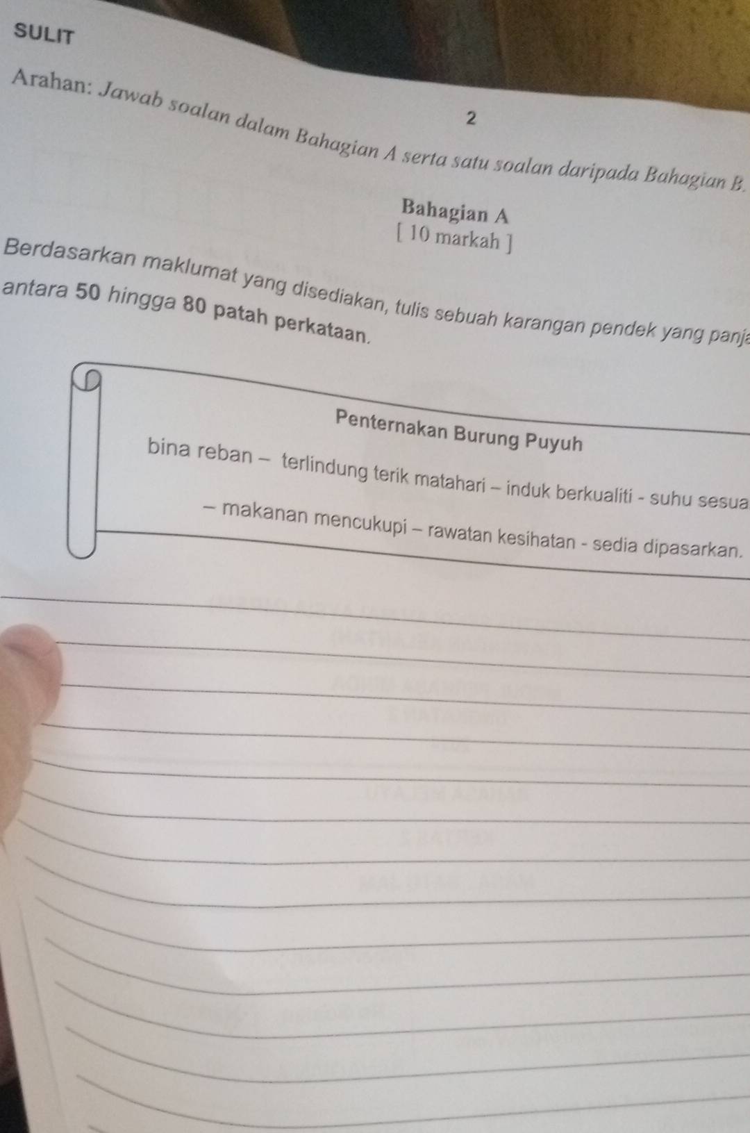 SULIT 
2 
Arahan: Jawab soalan dalam Bahagian A serta satu soalan daripada Bahagian B 
Bahagian A 
[ 10 markah ] 
Berdasarkan maklumat yang disediakan, tulis sebuah karangan pendek yang panj 
antara 50 hingga 80 patah perkataan. 
Penternakan Burung Puyuh 
bina reban - terlindung terik matahari - induk berkualiti - suhu sesua 
- makanan mencukupi - rawatan kesihatan - sedia dipasarkan.