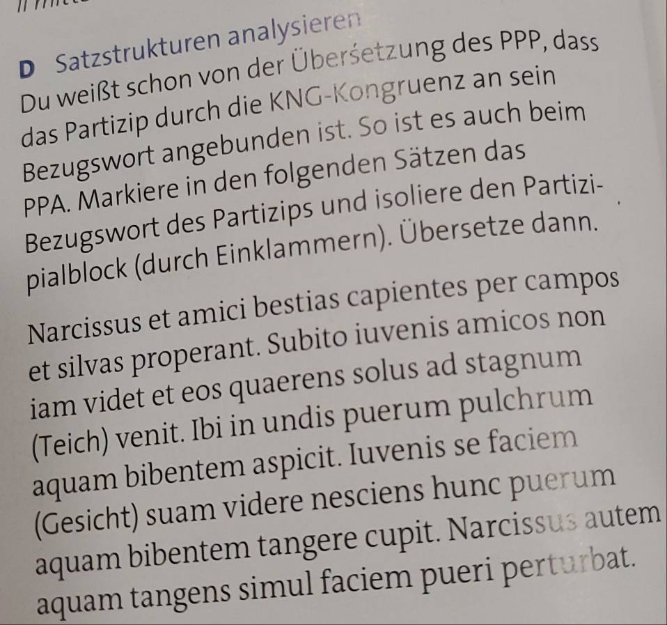 Satzstrukturen analysieren 
Du weißt schon von der Überśetzung des PPP, dass 
das Partizip durch die KNG-Kongruenz an sein 
Bezugswort angebunden ist. So ist es auch beim 
PPA. Markiere in den folgenden Sätzen das 
Bezugswort des Partizips und isoliere den Partizi- 
pialblock (durch Einklammern). Übersetze dann. 
Narcissus et amici bestias capientes per campos 
et silvas properant. Subito iuvenis amicos non 
iam videt et eos quaerens solus ad stagnum 
(Teich) venit. Ibi in undis puerum pulchrum 
aquam bibentem aspicit. Iuvenis se faciem 
(Gesicht) suam videre nesciens hunc puerum 
aquam bibentem tangere cupit. Narcissus autem 
aquam tangens simul faciem pueri perturbat.