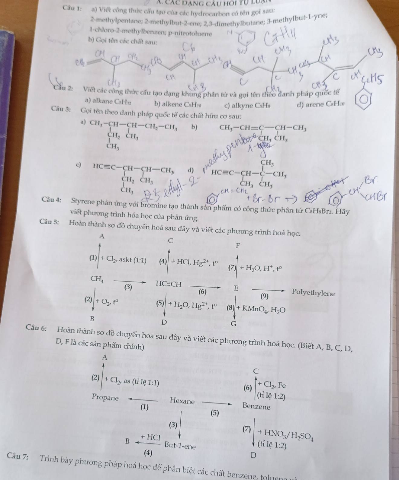 Các DAnG câu hỏi tự luại
Câu 1: a) Viết công thức cấu tạo của các hydrocarbon có tên gọi sau:
2-methylpentane; 2-methylbut-2-ene; 2,3-dimethylbutane; 3-methylbut-1-yne;
1-chloro-2-methylbenzen; p-nitrotoluene N
b) Gọi tên các chất sau:
Cầu 2: Viết các công thức cấu tạo dạng khung phân tử và gọi tên theo đanh pháp quốc tế
a) alkane CsH₁2 b) alkene CsH₁ c) alkyne CsH₈ d) arene C₃H₁0
Câu 3: Gọi tên theo danh pháp quốc tế các chất hữu cơ sau:
a) CH_3-CH-CH-CH_2-CH_3 b) CH_3-CH=C-CH-CH_3
∈tlimits _CH_3^1CH_3
H_3CH_3
□ 
CH_3
c) HCequiv C-CH-CH-CH_3 d) HCequiv C-CH-C-CH_3 □ 
_|CH_2|CH_1H_2endarray
_CH_3^1
CH_3
Câu 4: Styrene phản ứng với bromine tạo thành sản phẩm có công thức phân tử C₈H₈Br₂. Hãy
viết phương trình hóa học của phản ứng.
Câu 5: Hoàn thành sơ đồ chuyển hoá sau đây và viết các phương trình hoá học.
C
beginpmatrix lambda )beginvmatrix lambda  +Cl_2ab+Cl_2askt(1,1) (4)|^4+HCl,Hg^(2+),t° beginarrayr F (7)|+H_2O,H^+,e° endarray
CH_4
(2)_ 1/8 +O_2t^2 vector (3) HCequiv CH
vector (6)Evector (9) Polyethylene
(5)beginvmatrix +H_2O,Hg^(2+),e°&(8)+KMnO_4,H_2O
Câu 6: Hoàn thành sơ đồ chuyển hoa sau đây và viết các phương trình hoá học. (Biết A, B, C, D,
D, F là các sản phẩm chính)
beginarrayr A (2) □ _2anc((0,1)endarray
(6) beginarrayr C |+Cl_2,Fe (tileendarray
Propane Hexane
Benzene
(1) (5)
 beginarrayr 7|+1180,/H_2SO_4 +(0
B- (+HCl)/(4)   (3)/But-1-en  a
Câu 7: Trình bày phương pháp hoá học để phân biệt các chất benzene, toluen