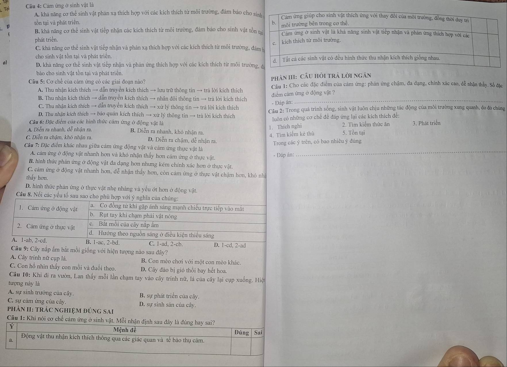 Cảm ứng ở sinh vật là
Tại
A. khả năng cơ thể sinh vật phản xạ thích hợp với các kích thích từ môi trường, đảm bảo cho
tồn tại và phát triển.
B. khả năng cơ thể sinh vật tiếp nhận các kích thích từ môi trường, đảm bảo cho sinh vật tồ
P
phát triển.
C. khả năng cơ thể sinh vật tiếp nhận và phản xạ thích hợp với các kích thích từ môi trường, 
cho sinh vật tồn tại và phát triển.
a) D. khả năng cơ thể sinh vật tiếp nhận và phản ứng thích hợp với các kích thích từ môi trườ
bảo cho sinh vật tồn tại và phát triển.
Câu 5: Cơ chế của cảm ứng có các giai đoạn nào? phảN III: CÂU HỏI tRẬ lờI nGần
A. Thu nhận kích thích → dẫn truyền kích thích → lưu trữ thông tin → trả lời kích thích  Câu 1: Cho các đặc điểm của cảm ứng: phản ứng chậm, đa dạng, chính xác cao, dễ nhận thấy. Số đặc
B. Thu nhận kích thích → dẫn truyền kích thích → nhân đôi thông tin → trả lời kích thích điểm cảm ứng ở động vật ?
- Đáp án:
C. Thu nhận kích thích → dẫn truyền kích thích → xử lý thông tin → trả lời kích thích
Câu 2: Trong quá trình sống, sinh vật luôn chịu những tác động của môi trường xung quanh, do đó chúng
D. Thu nhận kích thích → bảo quản kích thích → xử lý thông tin → trả lời kích thích
Câu 6: Đặc điểm của các hình thức cảm ứng ở động vật là luôn có những cơ chế để đáp ứng lại các kích thích đề:
1. Thích nghi 2. Tìm kiếm thức ăn 3. Phát triển
A. Diễn ra nhanh, dễ nhận ra. B. Diễn ra nhanh, khó nhận ra. 5. Tồn tại
4. Tìm kiếm kẻ thù
C. Diễn ra chậm, khó nhận ra. D. Diễn ra chậm, dễ nhận ra.
Trong các ý trên, có bao nhiêu ý đúng
Câu 7: Đặc điểm khác nhau giữa cảm ứng động vật và cảm ứng thực vật là
A. cảm ứng ở động vật nhanh hơn và khó nhận thấy hơn cảm ứng ở thực vật.
- Đáp án:
_
B. hình thức phản ứng ở động vật đa dạng hơn nhưng kém chính xác hơn ở thực vật.
C. cảm ứng ở động vật nhanh hơn, dễ nhận thấy hơn, còn cảm ứng ở thực vật chậm hơn, khó nhà
thấy hơn.
D. hình thức phản ứng ở thực vật nhẹ nhàng và yếu ớt hơn ở động vật.
Câu 8. Nối các yếu tố sau sao cho phù hợp với ý nghĩa của chúng:
1. Cảm ứng ở động vật a. Co đồng tử khi gặp ánh sáng mạnh chiếu trực tiếp vào mắt
b. Rụt tay khi chạm phải vật nóng
2. Cảm ứng ở thực vật c.Bắt mồi của cây nắp ấm
d. Hướng theo nguồn sáng ở điều kiện thiếu sáng
A. 1-ab, 2-cd. B. 1-ac, 2-bd. C. 1-ad, 2-cb. D. 1-cd, 2-ad
Câu 9: Cây nắp ấm bắt mồi giống với hiện tượng nào sau đây?
A. Cây trinh nữ cụp lá. B. Con mèo chơi với một con mèo khác.
C. Con hổ nhìn thấy con mồi và đuổi theo. D. Cây đào bị gió thổi bay hết hoa.
Câu 10: Khi đi ra vườn, Lan thấy mỗi lần chạm tay vào cây trinh nữ, lá của cây lại cụp xuống. Hiệt
tượng này là
A. sự sinh trưởng của cây. B. sự phát triển của cây.
C. sự cảm ứng của cây. D. sự sinh sản của cây.
PHÂN II: TRÁC NGHIỆM đÚNG SAi
Câu 1: Khi nói cơ chế cảm ứng ở sinh vật. Mỗi nhận đị