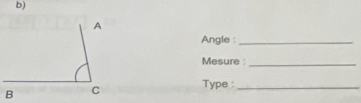 Angle :_ 
Mesure :_ 
Type :_