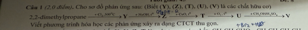 (2,0 điểm). Cho sơ đồ phản ứng sau: (Biết (Y),(Z),(T),(U) ), ( V ) là các chất hữu cơ) 
2,2-dimethylpropane xrightarrow +Cl_2,500°CY_ +NaOH, t° xrightarrow O_2.t^9Uxrightarrow +CH_3OH/H_2SO_4V
Viết phương trình hóa học các phản ứng xảy ra dạng CTCT thu gọn.