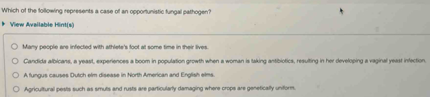 Which of the following represents a case of an opportunistic fungal pathogen?
View Available Hint(s)
Many people are infected with athlete's foot at some time in their lives.
Candida albicans, a yeast, experiences a boom in population growth when a woman is taking antibiotics, resulting in her developing a vaginal yeast infection.
A fungus causes Dutch elm disease in North American and English elms.
Agricultural pests such as smuts and rusts are particularly damaging where crops are genetically uniform.