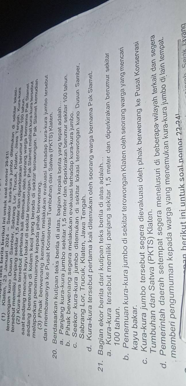 laks berita berikut ini untuk soal nomor 20-21!
(1) Klaten,23 Januari 2024 - Seekor kura-kura jumbo ditemukan di sekitar lokasi
terowongan kuno Dusun Samber, Sabrang Lor, Trucuk, Klaten, Jawa Tengah. Kura-kura
tersebut memiliki panjang sekitar 1,5 meter dan diperkirakan berumur sekitar 100 tahun.
(2) Kura-kura tersebut pertama kali ditemukan oleh seórang warga berama Pak Slamet
saat sedang mencari kayu bakar di sekitar terowongan. Pak Slamet melihat kura-kura tersebut
sedang berenang di kolam kecil yang berada di sekitar terowongan. Pak Slamet kemudian
melaporkan penemuannya kepada pihak berwenang.
(3) Pihak berwenang kemudian melakukan evakuasi terhadap kura-kura jumbo tersebut
dan membawanya ke Pusat Konservasi Tumbuhan dan Satwa (PKTS) Klaten.
20. Berdasarkan kutipan teks berita di atas, bagian kepala berita yang tepat adalah...
a. Panjang kura-kura jumbo sekitar 1,5 meler dan diperkirakan berumur sekitar 100 tahun.
b. Pihak berwenang segera melakukan evakuasi terhadap kura-kura jumbo.
c. Seekor kura-kura jumbo ditemukan di sekitar lokasi terowongan kuno Dusun Samber,
Sabrang Lor, Trucuk, Klaten, Jawa Tengah.
d. Kura-kura tersebut pertama kali ditemukan oleh seorang warga bernama Pak Slamet.
21. Bagian ekor berita dari kutipan teks berita di atas adalah...
a. Kura-kura tersebut memiliki panjang sekitar 1,5 meter dan diperkirakan berumur sekitar
100 tahun.
b. Penemuan kura-kura jumbo di sekitar terowongan Klaten oleh seorang warga yang mencari
kayu bakar.
c. Kura-kura jumbo tersebut segera dievakuasi oleḥ pihak berwenang ke Pusat Konservasi
Tumbuhan dan Satwa (PKTS) Klaten.
d. Pemerintah daerah setempat segera menelusuri di beberapa wilayah terkait dan segera
memberi pengumuman kepada warga yang menemukan kura-kura jumbo di lain tempat.
b                       n o   o     
Seink tavang