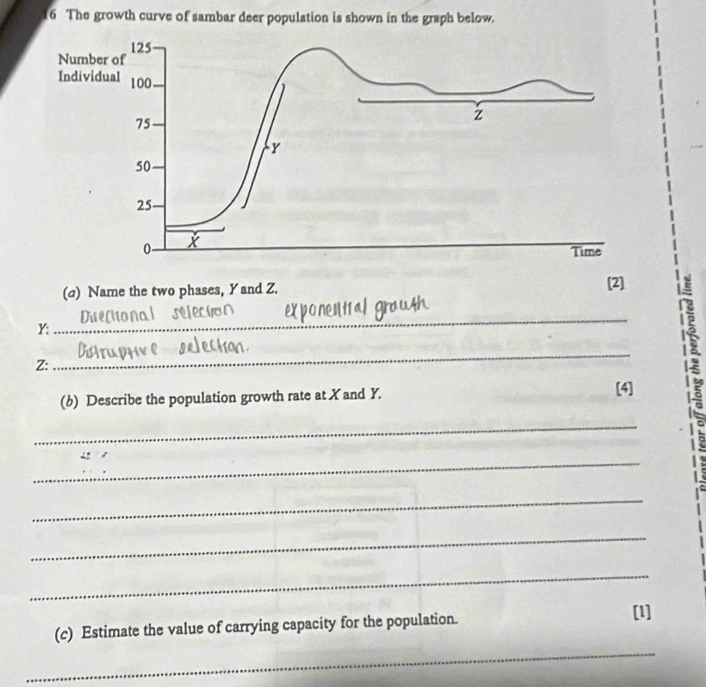 The growth curve of sambar deer population is shown in the graph below. 
(σ) Name the two phases, Yand Z. 
[2]
Y : 
_ 
Z: 
_ 
(b) Describe the population growth rate at X and Y. 
[4] 
! 
_ 
_ 
_ 
_ 
_ 
(c) Estimate the value of carrying capacity for the population. [1] 
_