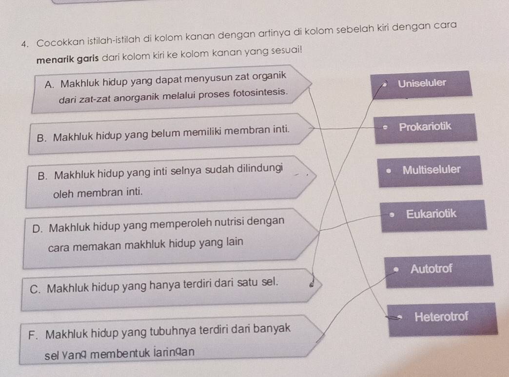 Cocokkan istilah-istilah di kolom kanan dengan artinya di kolom sebelah kiri dengan cara
menarik garis dari kolom kiri ke kolom kanan yang sesuai!
A. Makhluk hidup yang dapat menyusun zat organik
Uniseluler
dari zat-zat anorganik melalui proses fotosintesis.
B. Makhluk hidup yang belum memiliki membran inti. Prokariotik
B. Makhluk hidup yang inti selnya sudah dilindungi Multiseluler
oleh membran inti.
Eukariotik
D. Makhluk hidup yang memperoleh nutrisi dengan
cara memakan makhluk hidup yang lain
Autotrof
C. Makhluk hidup yang hanya terdiri dari satu sel.
Heterotrof
F. Makhluk hidup yang tubuhnya terdiri dari banyak
sel Vang membentuk iaringan