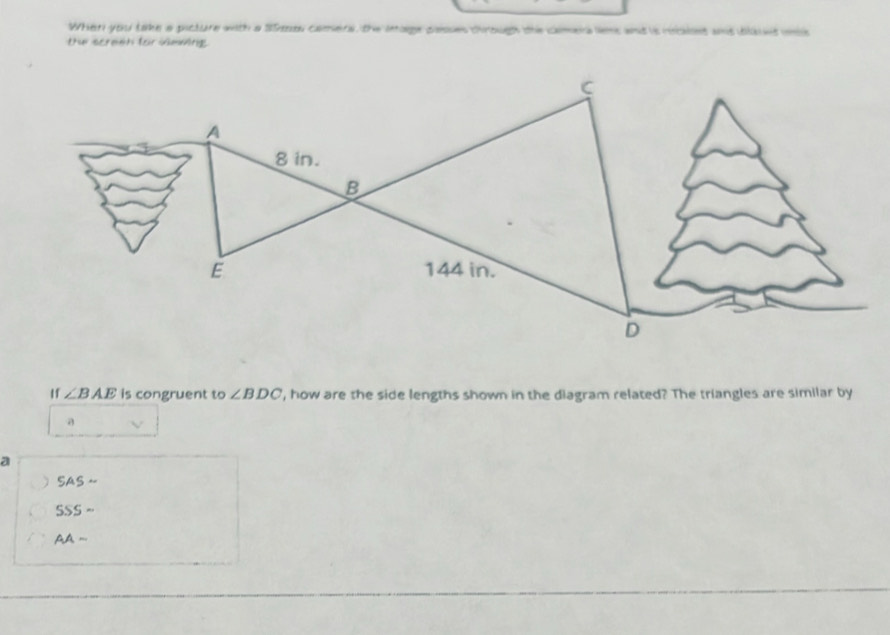 When you take a picture with a S9zou comera, the inoge pesses chrough the camera lems and is rocalns and ilsed ns
the screeh for xiewing
Hf ∠ BAE is congruent to ∠ BDC ', how are the side lengths shown in the diagram related? The triangles are similar by
a
a
SASsim
SSSsim
AA-