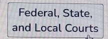 Federal, State, 
and Local Courts