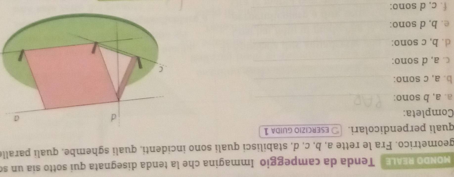 MNDO REALE Tenda da campeggio Immagina che la tenda disegnata qui sotto sía un so 
geometrico. Fra le rette a, b, c, d, stabilisci quali sono incidenti, quali sghembe, quali paralle 
quali perpendícolari. ESERCIZIO GUIDa 1 
Completa: 
a. a, b sono:_ 
b. a, c sono:_ 
c. a, d sono:_ 
d. b, c sono:_ 
e. b, d sono:_ 
f. c, d sono:_