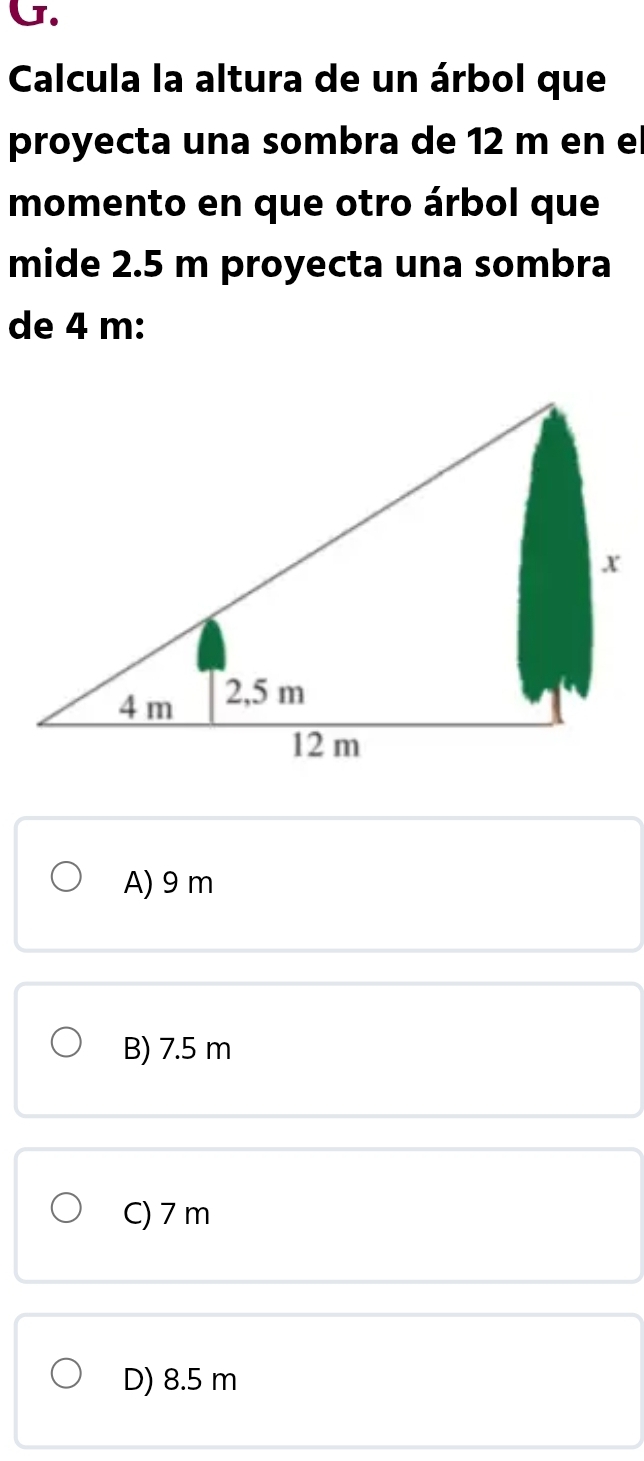 Calcula la altura de un árbol que
proyecta una sombra de 12 m en el
momento en que otro árbol que
mide 2.5 m proyecta una sombra
de 4 m :
A) 9 m
B) 7.5 m
C) 7 m
D) 8.5 m