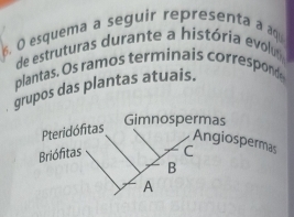 esquema a seguir representa a aqu 
de estruturas durante a história evolu 
plantas. Os ramos terminais correspond 
grupos das plantas atuais. 
Gimnospermas 
ngiospermas