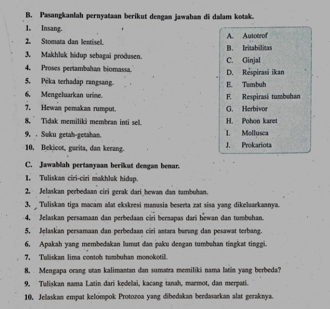 Pasangkanlah pernyataan berikut dengan jawaban di dalam kotak.
1. Insang.
2. Stomata dan lentisel. A. Autotrof
B. Iritabilitas
3. Makhluk hidup sebagai produsen. C. Ginjal
4. Proses pertambahan biomassa. D. Respirasi ikan
5. Peka terhadap rangsang. E. Tumbuh
6. Mengeluarkan urine. F. Respirasi tumbuhan
7. Hewan pemakan rumput. G. Herbivor
8. Tidak memiliki membran inti sel. H. Pohon karet
9. Suku getah-getahan. I. Mollusca
10. Bekicot, gurita, dan kerang. J. Prokariota
C. Jawablah pertanyaan berikut dengan benar.
1. Tuliskan ciri-ciri makhluk hidup.
2. Jelaskan perbedaan ciri gerak dari hewan dan tumbuhan.
3. Tuliskan tiga macam alat ekskresi manusia beserta zat sisa yang dikeluarkannya.
4. Jelaskan persamaan dan perbedaan ciri bernapas dari hewan dan tumbuhan.
5. Jelaskan persamaan dan perbedaan ciri antara burung dan pesawat terbang.
6. Apakah yang membedakan lumut dan paku dengan tumbuhan tingkat tinggi.
7. Tuliskan lima contoh tumbuhan monokotil.
8. Mengapa orang utan kalimantan dan sumatra memiliki nama latin yang berbeda?
9. Tulişkan nama Latin dari kędelai, kacang tanah, marmot, dan merpati.
10. Jelaskan empat kelompok Protozoa yang dibedakan berdasarkan alat geraknya.