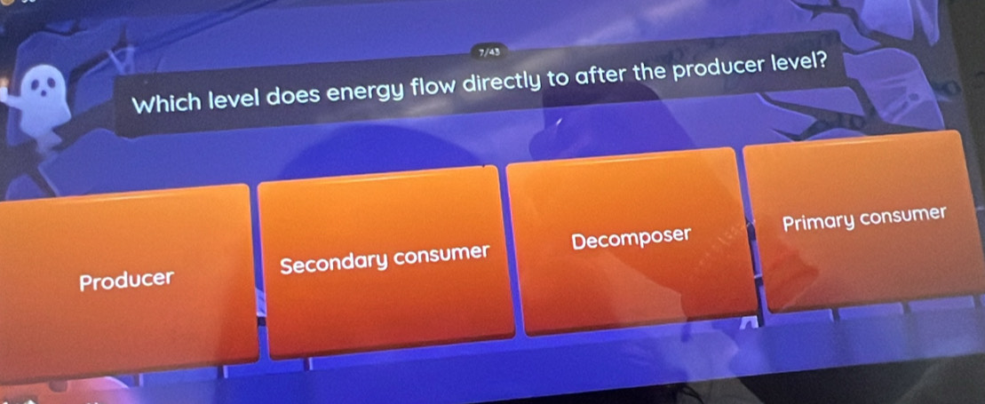 Which level does energy flow directly to after the producer level?
Producer Secondary consumer Decomposer Primary consumer