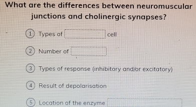 What are the differences between neuromuscular 
junctions and cholinergic synapses? 
1 Types of cell 
2 Number of 
3 Types of response (inhibitory and/or excitatory) 
4 Result of depolarisation 
5 Location of the enzyme